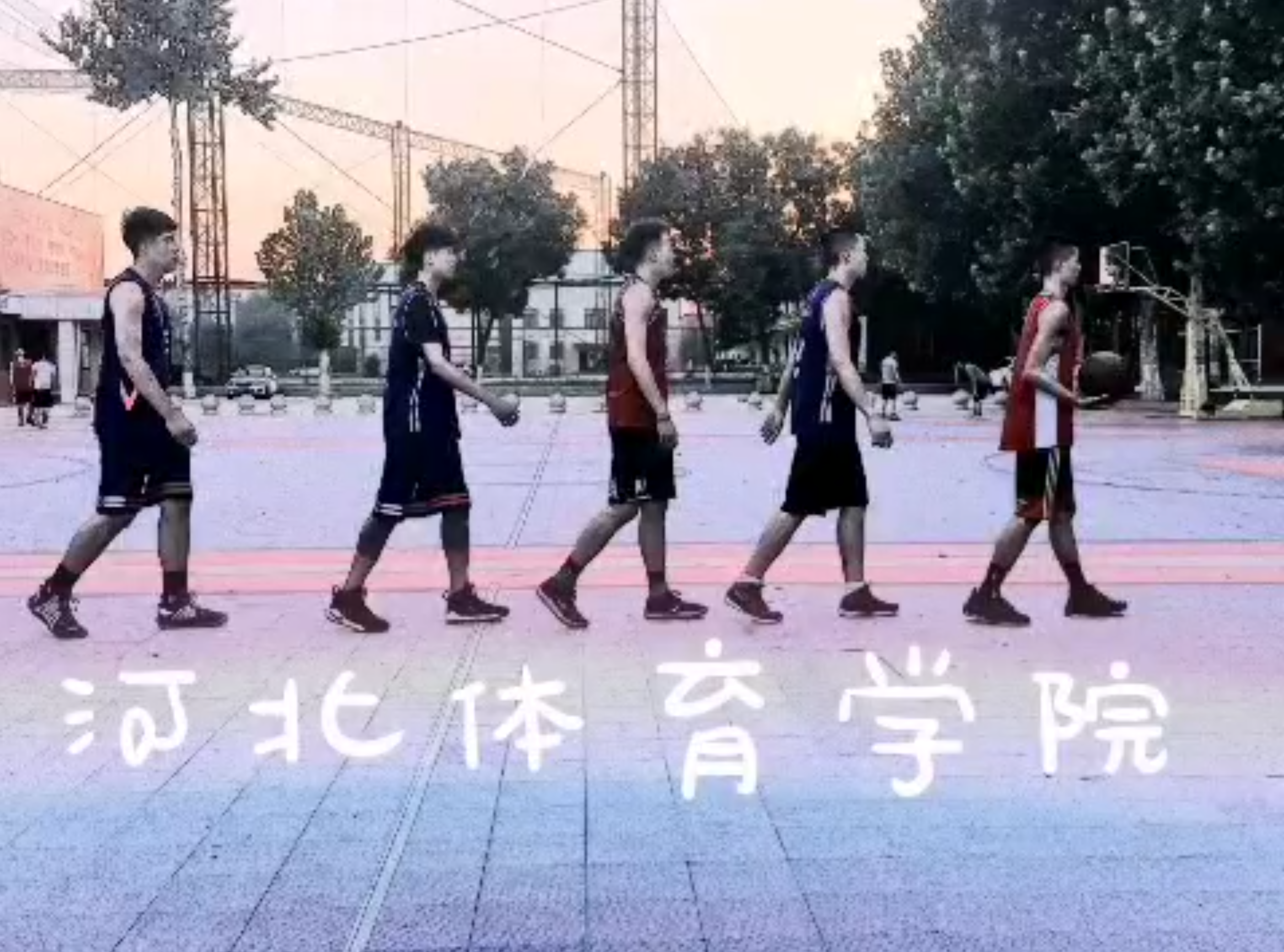 �ҵ���������-�ž���