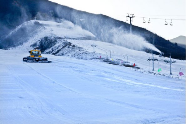 ���������ѩС��