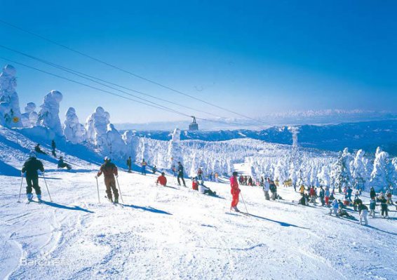 �����»�ѩ��