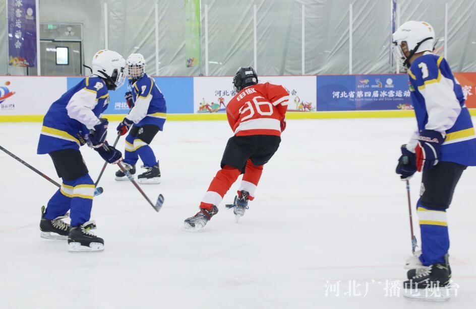 �ӱ�ʡ���Ľ��ѩ�˶��������Ŀ��������