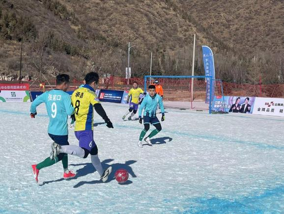 �ӱ�ʡ���Ľ��ѩ�˶���ѩ���������������飩�ڶ�������