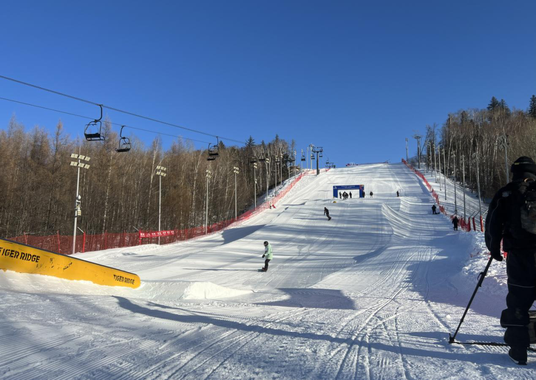 ʡ��ʮ�����˶����������鶬����Ŀ���� ���������;���ˮƽ˫����