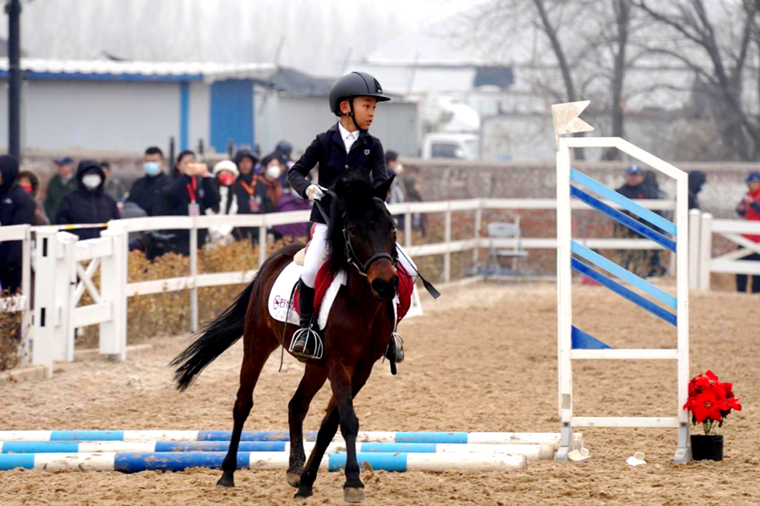 2022��ӱ�ʡ�����������������ߺӱ�ʡ��ʮ�����˶��ᣨ������Ŀ��Ԥ������˲��