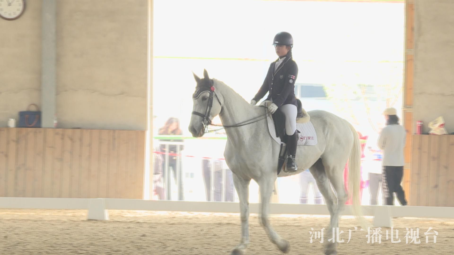 ʡ�˻��������������˶�������Ļ