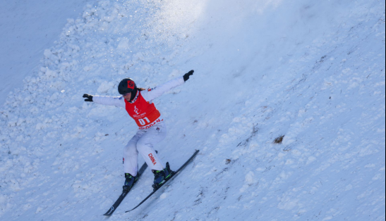 ���������ƣ��ӱ��ջ�����ʽ��ѩ���м�����ö����