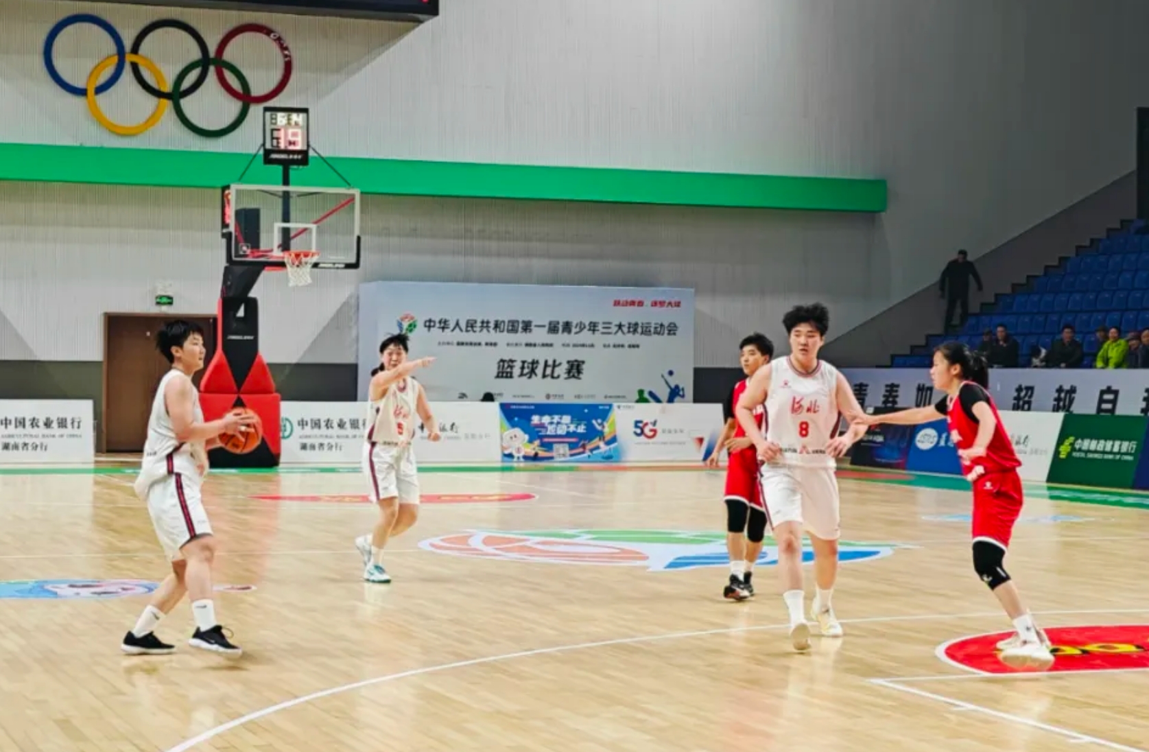 �������˶������ƴʤɽ�����ӱ�Ů������1/4�����ʸ���