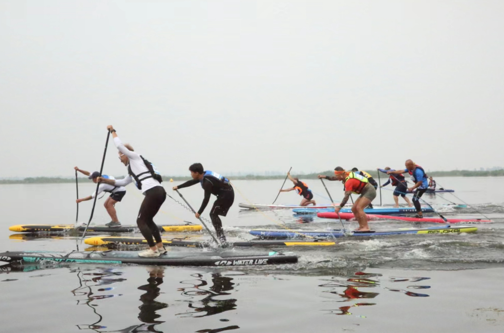 2025������������������������������顱